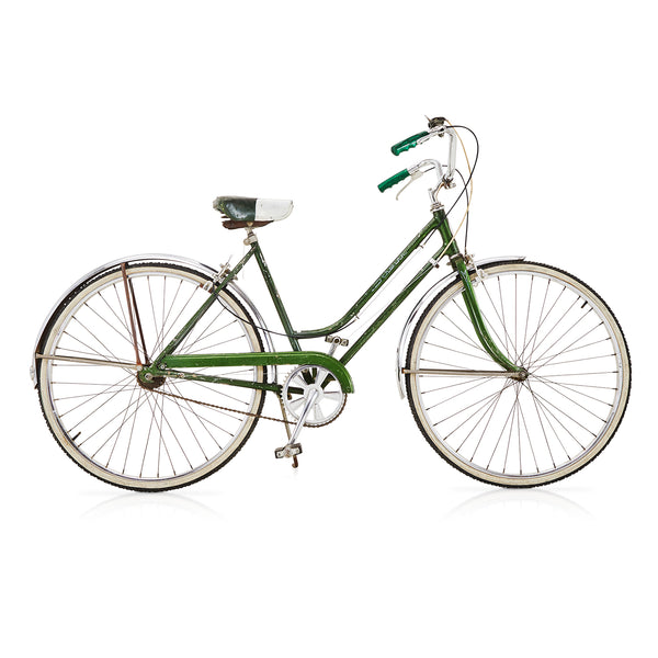 Green Schwinn Cruiser Bike - Gil & Roy Props