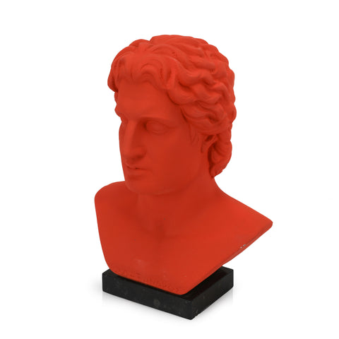 Orange Male Bust