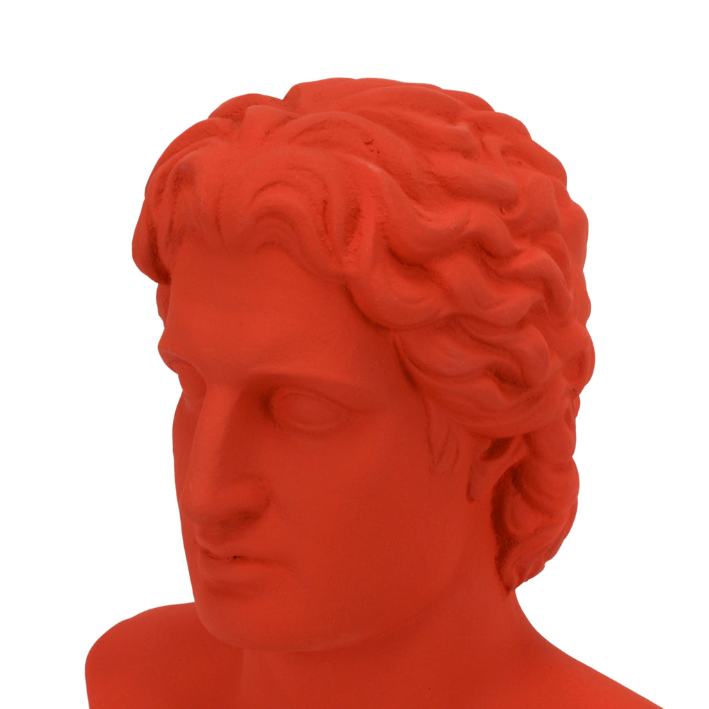 Orange Male Bust