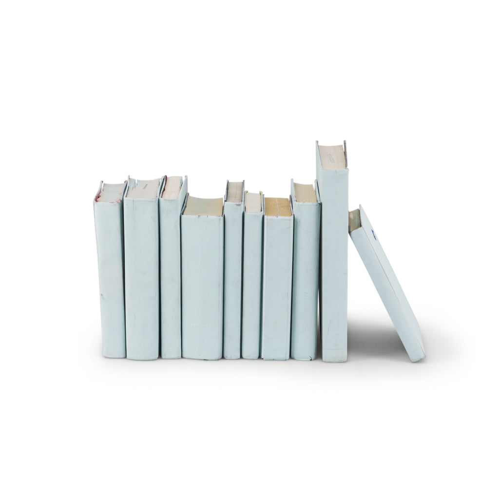 Light Blue Painted Books