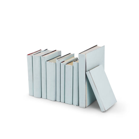 Light Blue Painted Books