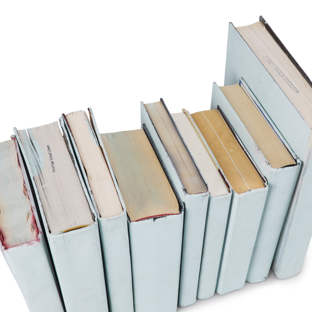 Light Blue Painted Books