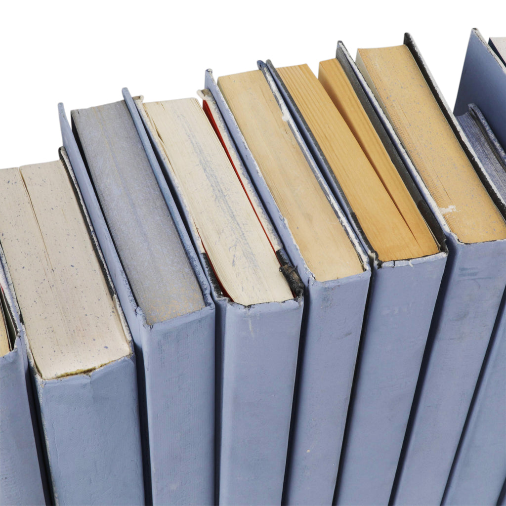 Periwinkle Blue Painted Books