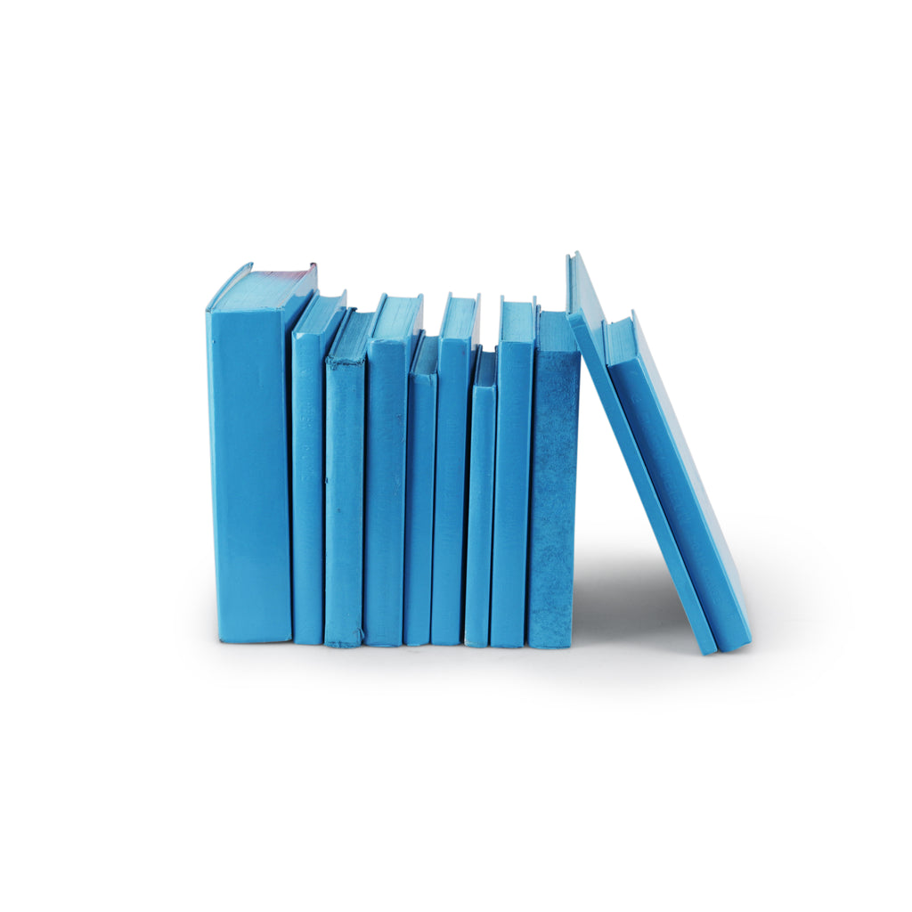 Blue Painted Books