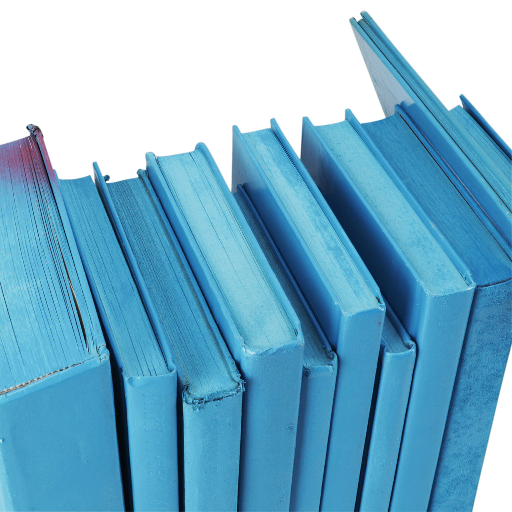 Blue Painted Books