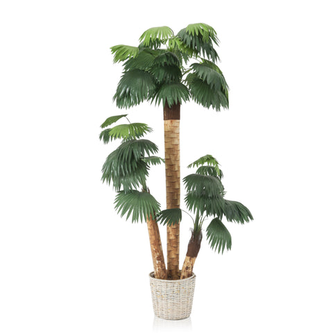 Faux Palm Tree in Wicker Planter #1