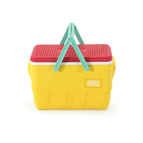 Bright Multicolor Igloo Cooler