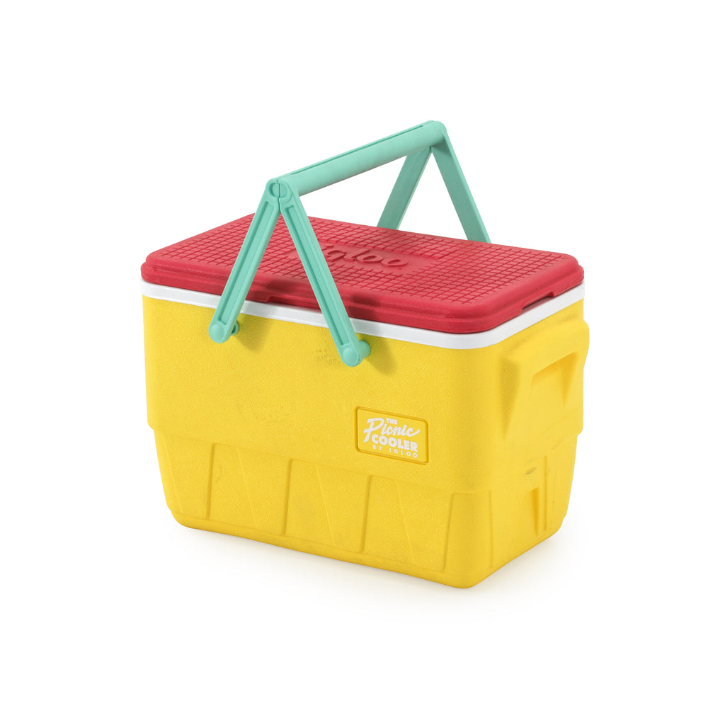 Bright Multicolor Igloo Cooler