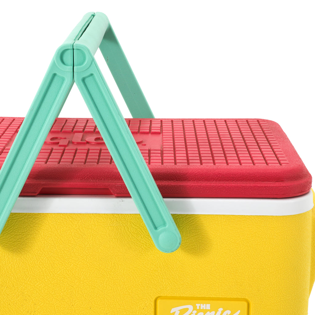 Bright Multicolor Igloo Cooler