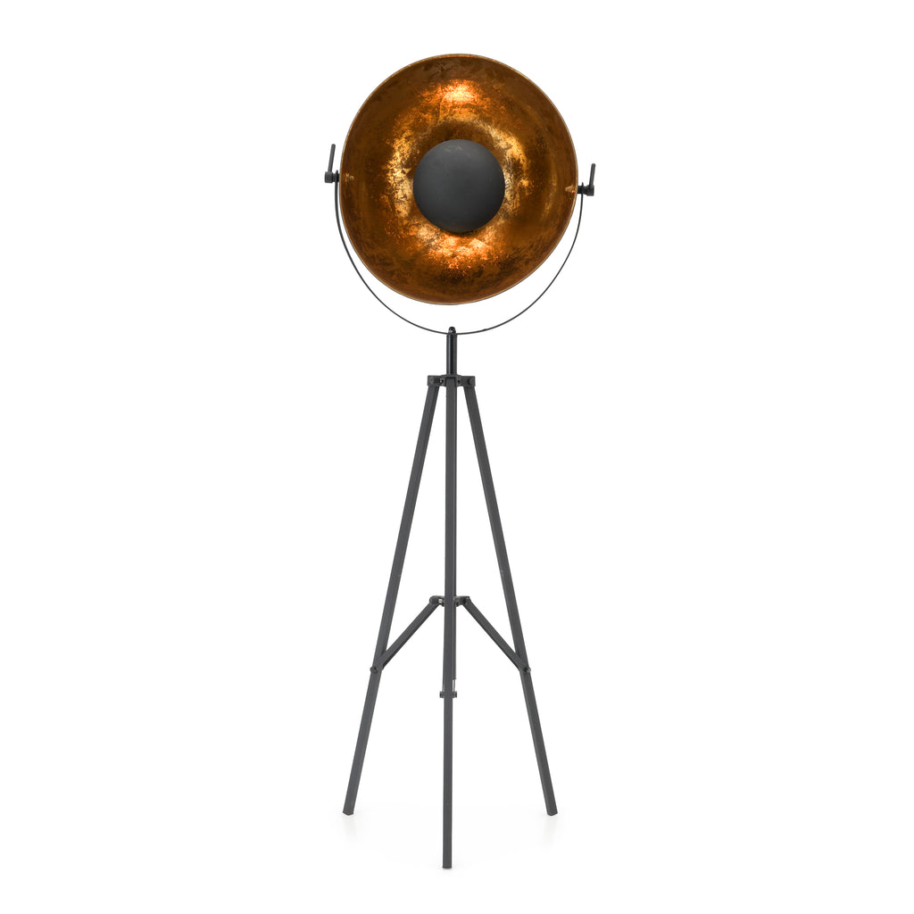 Black and Gold Tripod Floor Lamp