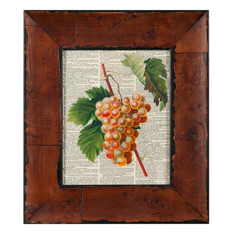 0343 (A+D) Peach Grapes Dictionary (12.5" x 14.5")