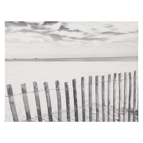 0503 (A+D) BW Oak Beach Fence (24" x 18")